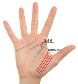 第5回 発見！琉球手相術の祖ぷらっと沖縄沖縄の「見たい」「楽しみたい」に応える地域密着型情報サイトです