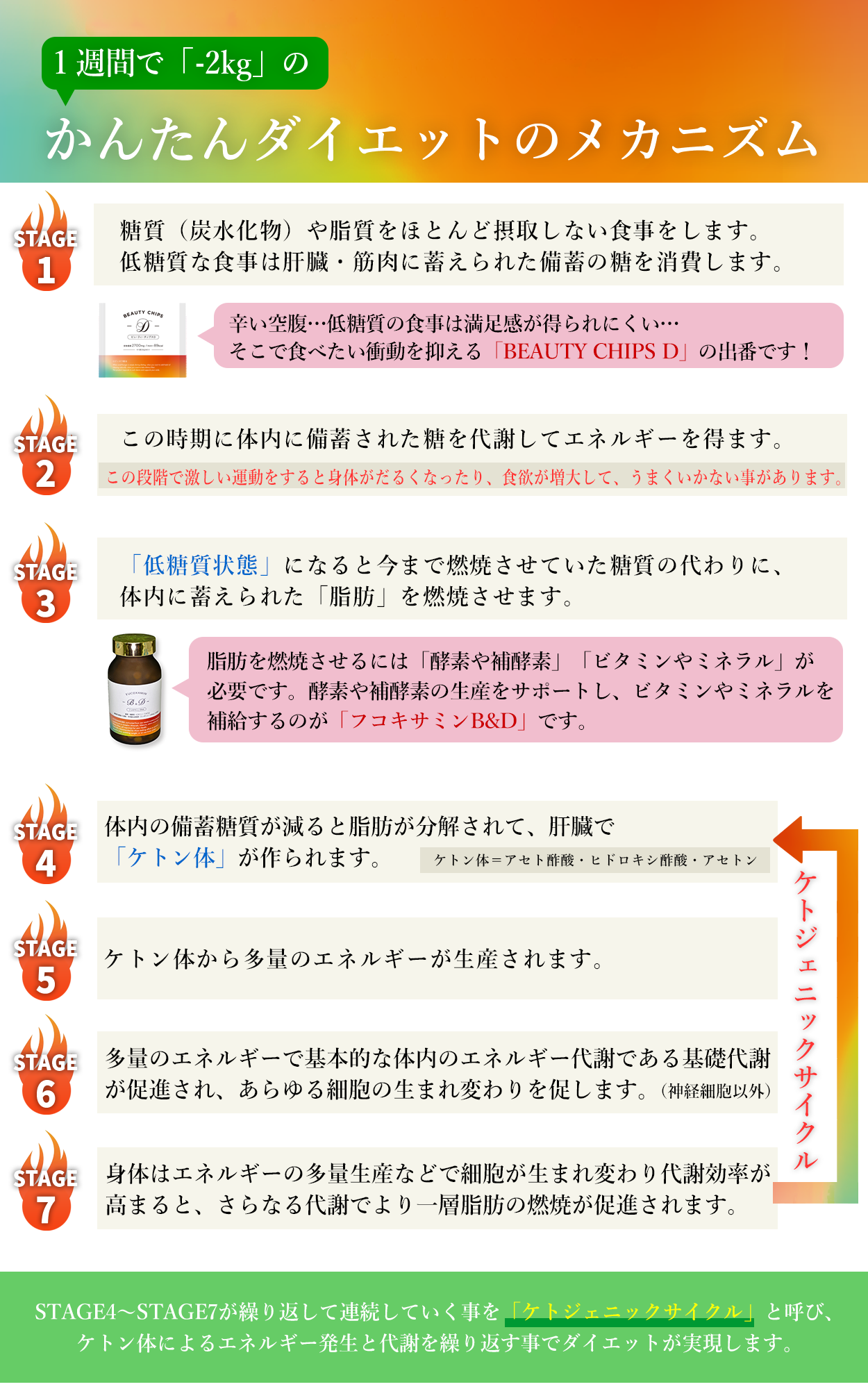 糖質制限レシピ大全～1週間献立から簡単作り置きメニューまで～美容と健康とビタミンC