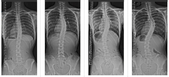 アパラート・コニシ研究開発