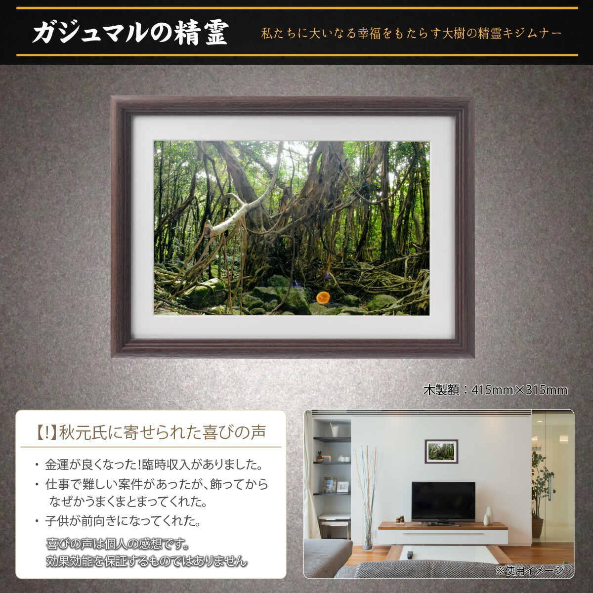 ガジュマル様 運気UP ガジュマルの木 5号 陶器鉢 ピック付 観葉植物