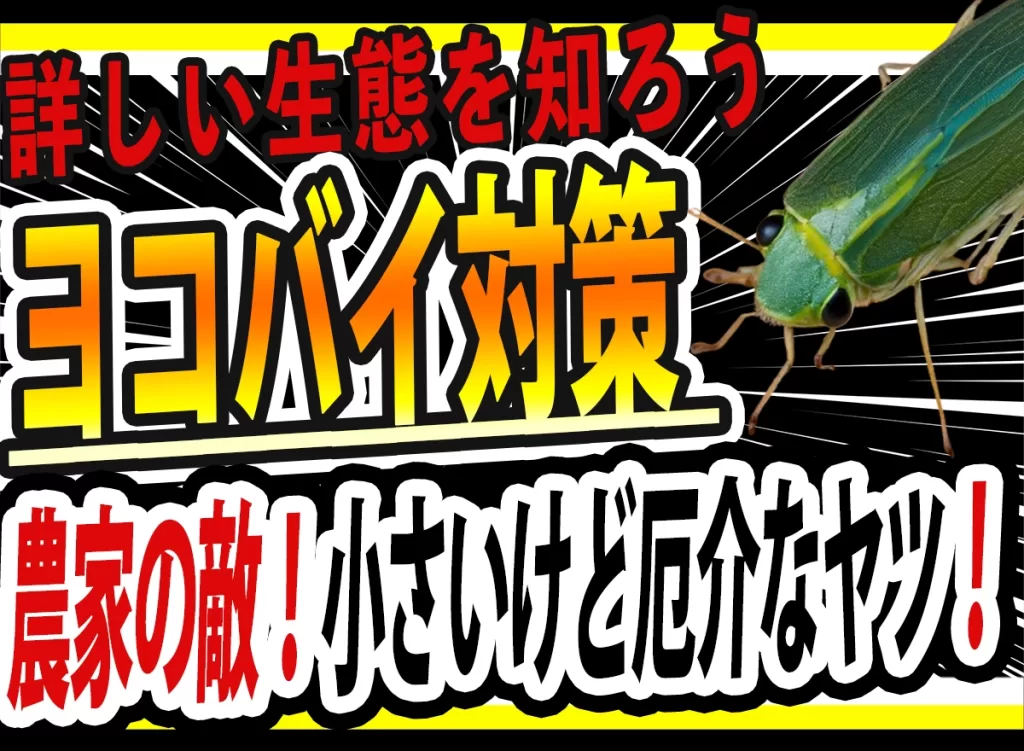 ツマグロヨコバイ農業害虫や病害の防除・農薬情報病害虫・雑草の情報基地全国農村教育協会