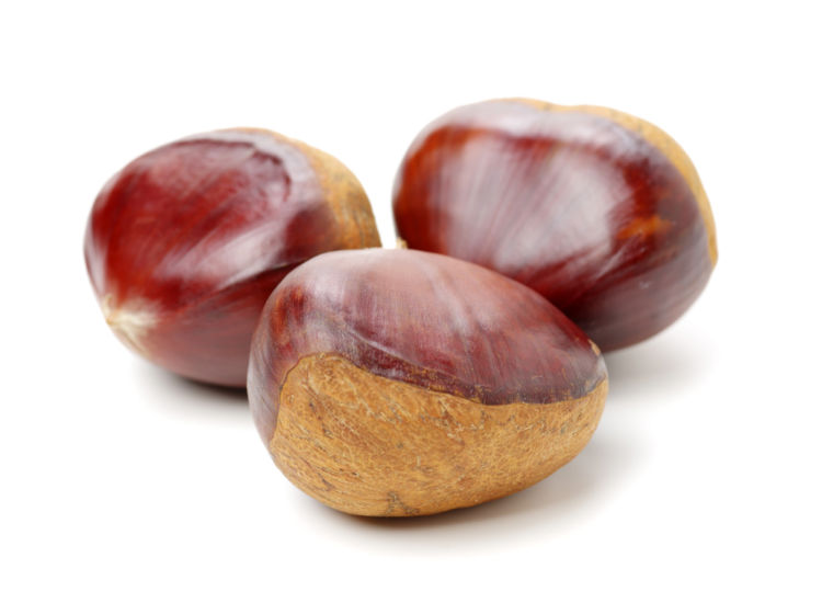 犬に栗を与えるときの注意点と健康に期待できること犬All About