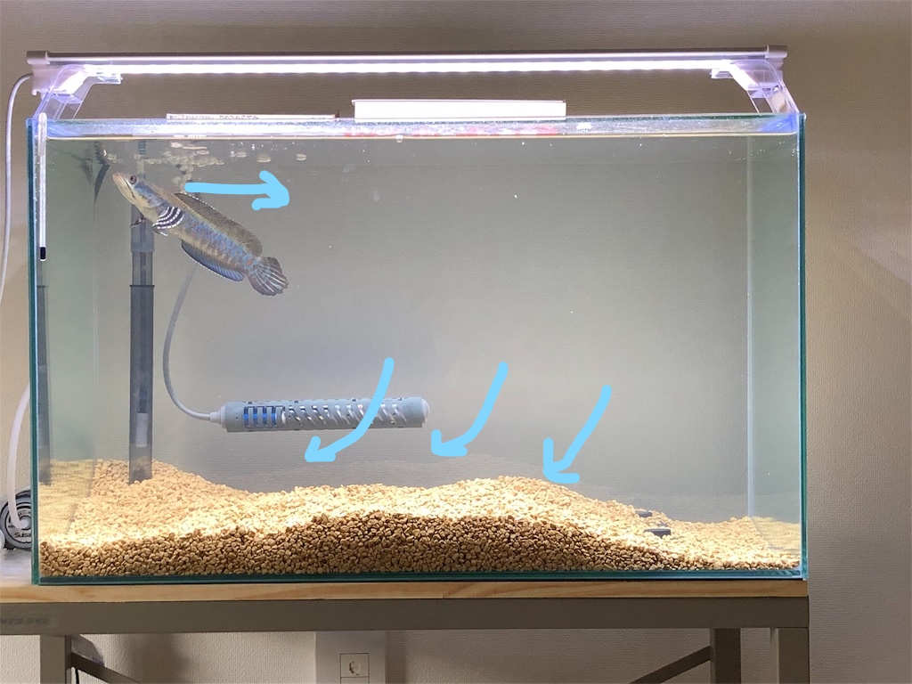 底面フィルターを強化!?マイクロパワーフィルターを底面ろ過に繋ぐビバアクア！熱帯魚を飼ってみよう