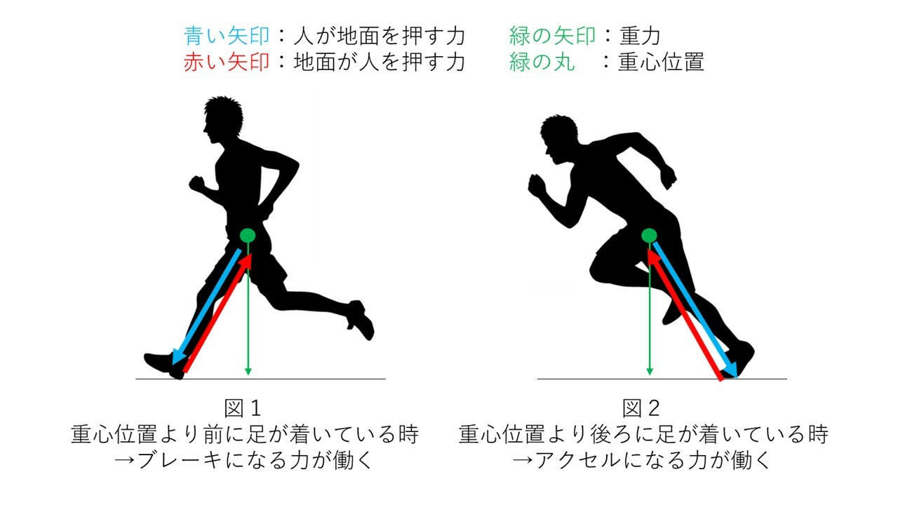 初めてのランでフォームを誉められ有頂天！2ページ目 ：走り亀 ～ヘタレランナー フルマラソンへの道～：日経Gooday グッデイ