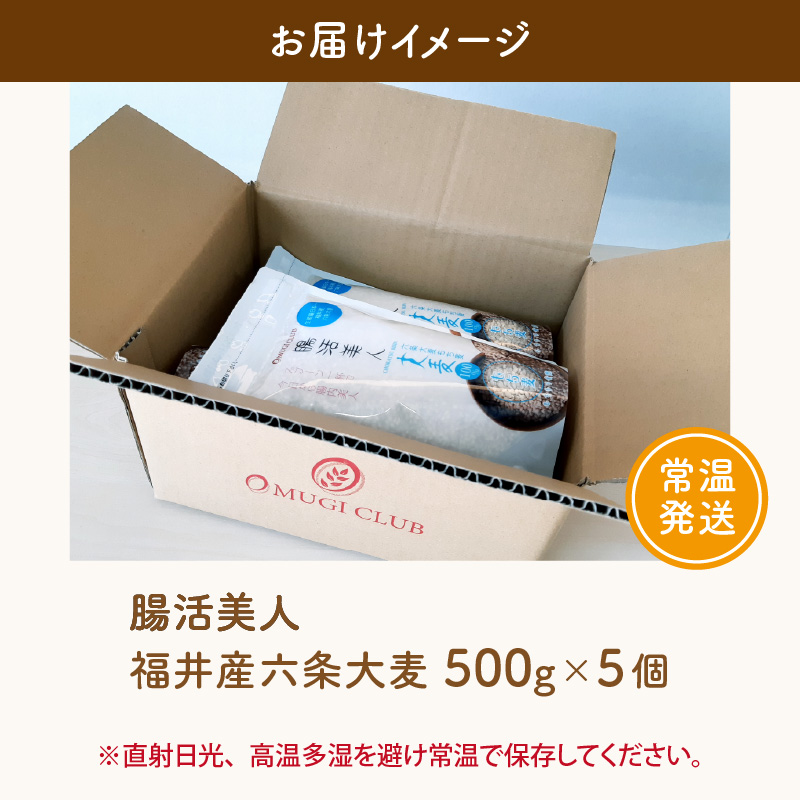 1/3〜2/18、福井県福井市】福井県立美術館でテーマ展「江戸時代の女たち～美人図コトハジメ～」開催 - お城ニュース