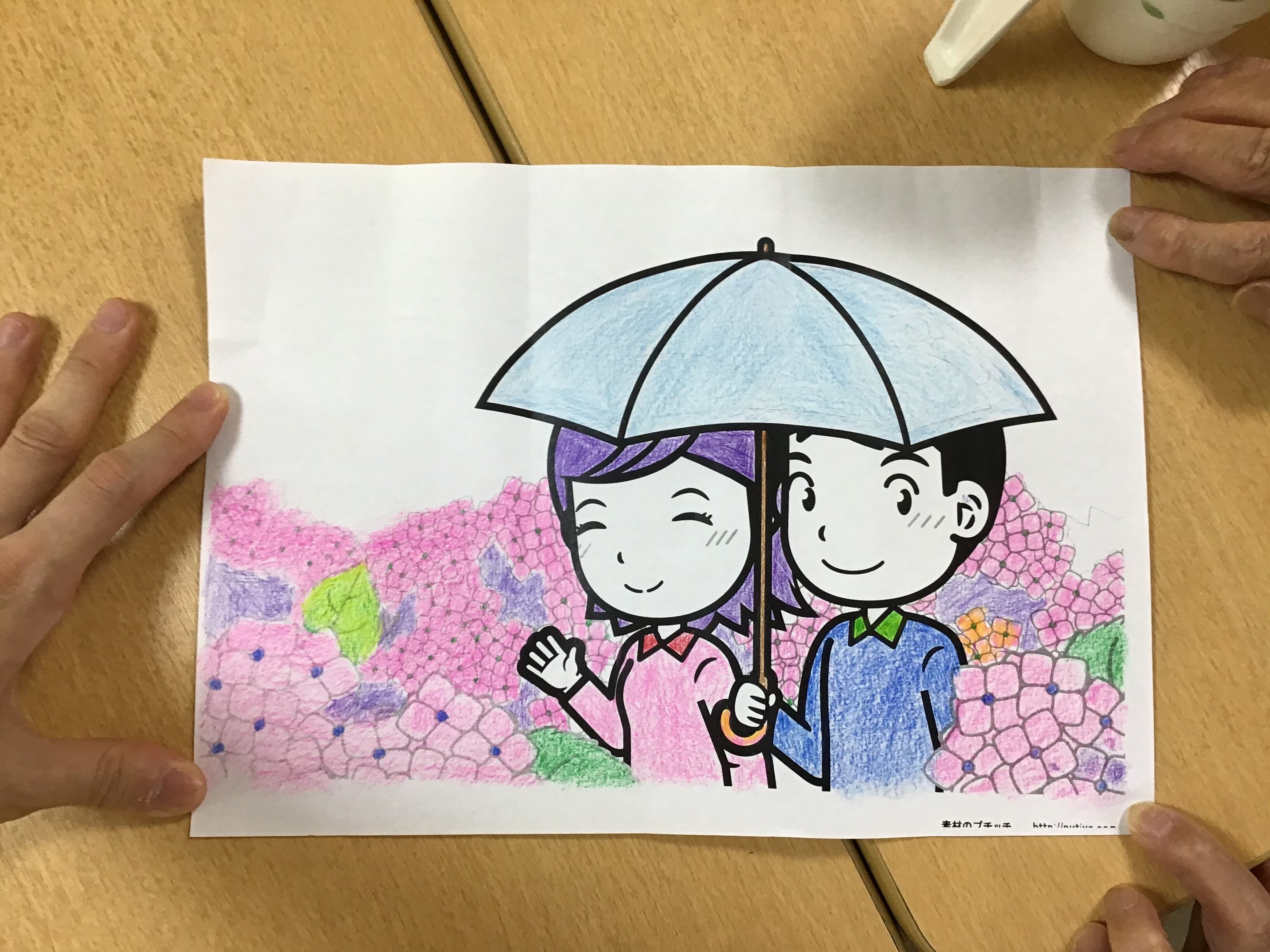 新品 大人が楽しむぬりえ 2冊セット 塗り絵 脳トレ リハビリ 日本製 ① - メルカリ