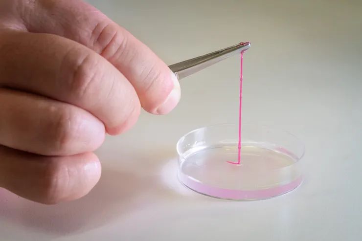 肌再生医療・幹細胞治療ならフォーシーズンズ肌再生美容クリニック