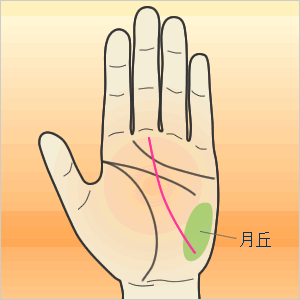 金運の手相 財運線 財産線 の長さや本数からお金の貯め方・増やし方のタイプがわかる