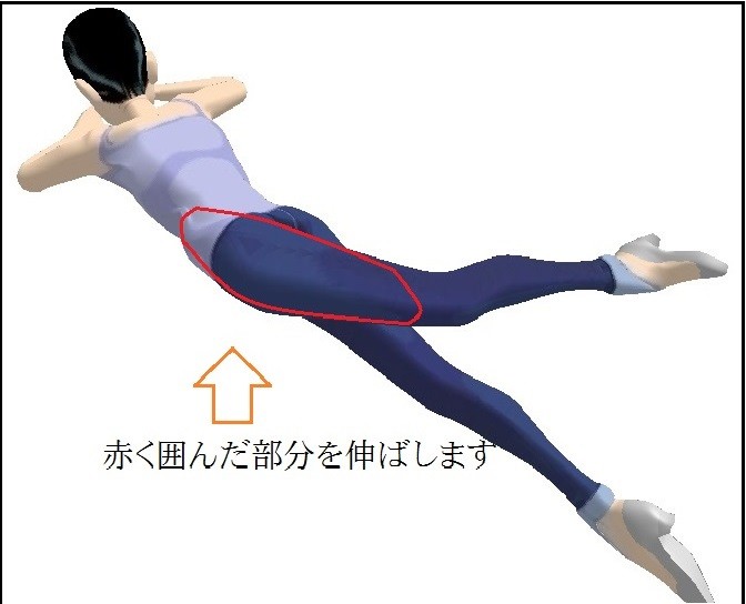 うつぶせでの足上げ運動 ハムストリングス・大殿筋月刊 おとまるくん 2019年5月号トレーニング