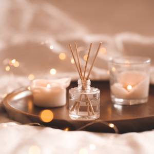 夢占い 蜘蛛は何を暗示している？色・状況・行動別に意味を解説暮らしオリーブオイルをひとまわし