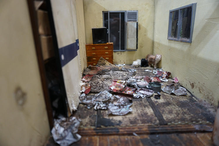 孤独死現場の害虫はどこから発生するの？具体的な対処法と注意点を紹介特殊清掃のスイーパーズ