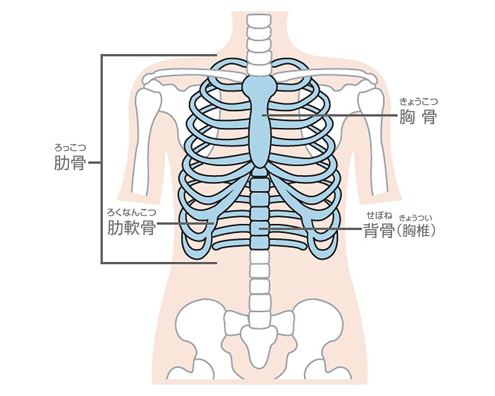 肋椎関節岩瀬勝覚