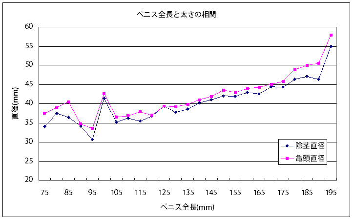 陰茎の大きさの基準は？ 大きく見せる方法も紹介