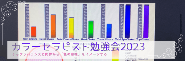 チャクラ診断・チャクラヒーリング・カルマ診断見える化で現実を変えるスピリチュアルサロン「サンクチュアリ」公式
