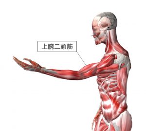 男性 骨格ストレートタイプのメンズファッション！オシャレに着こなすポイントを徹底解説 - AUENオーエン旧DCOLLECTION-30代・40代・50代からのメンズファッション通販 AUEN