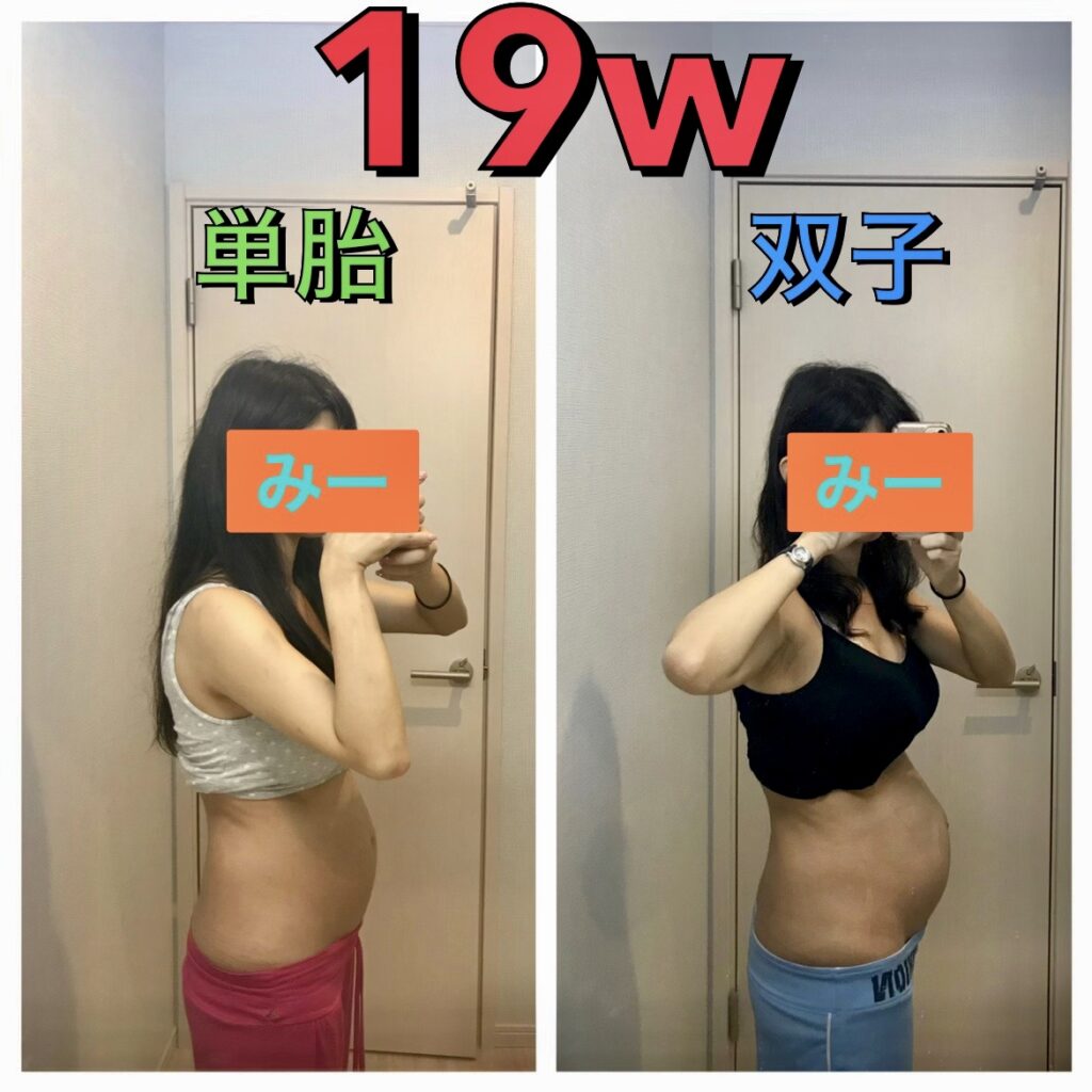 妊娠中のお腹の大きさの変化 - Genspark