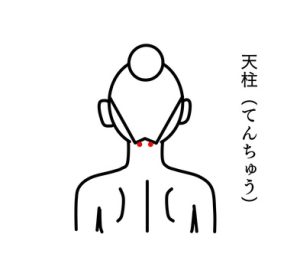 本日のツボ 天柱・てんちゅう - サンテ鍼灸院