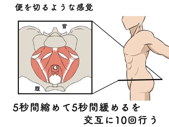 よつんばいフェラ6 ～フル勃起ち○ぽへの従属を姿勢で示す女たち～ -