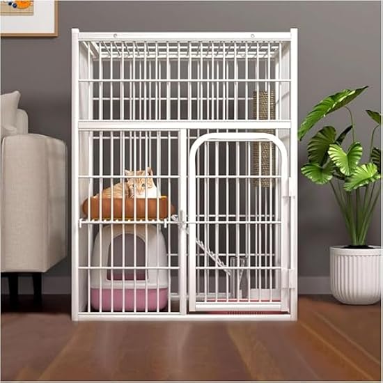 やす子「荒れくれ惚けてたら仕事なくなる」、オズワルド伊藤「あれくれほうける！？」Narinari.com