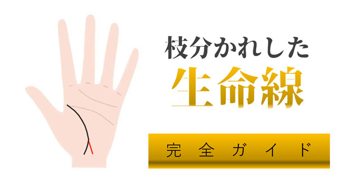 手相一覧まとめ！基本線・補助線・サイン - Spicomi