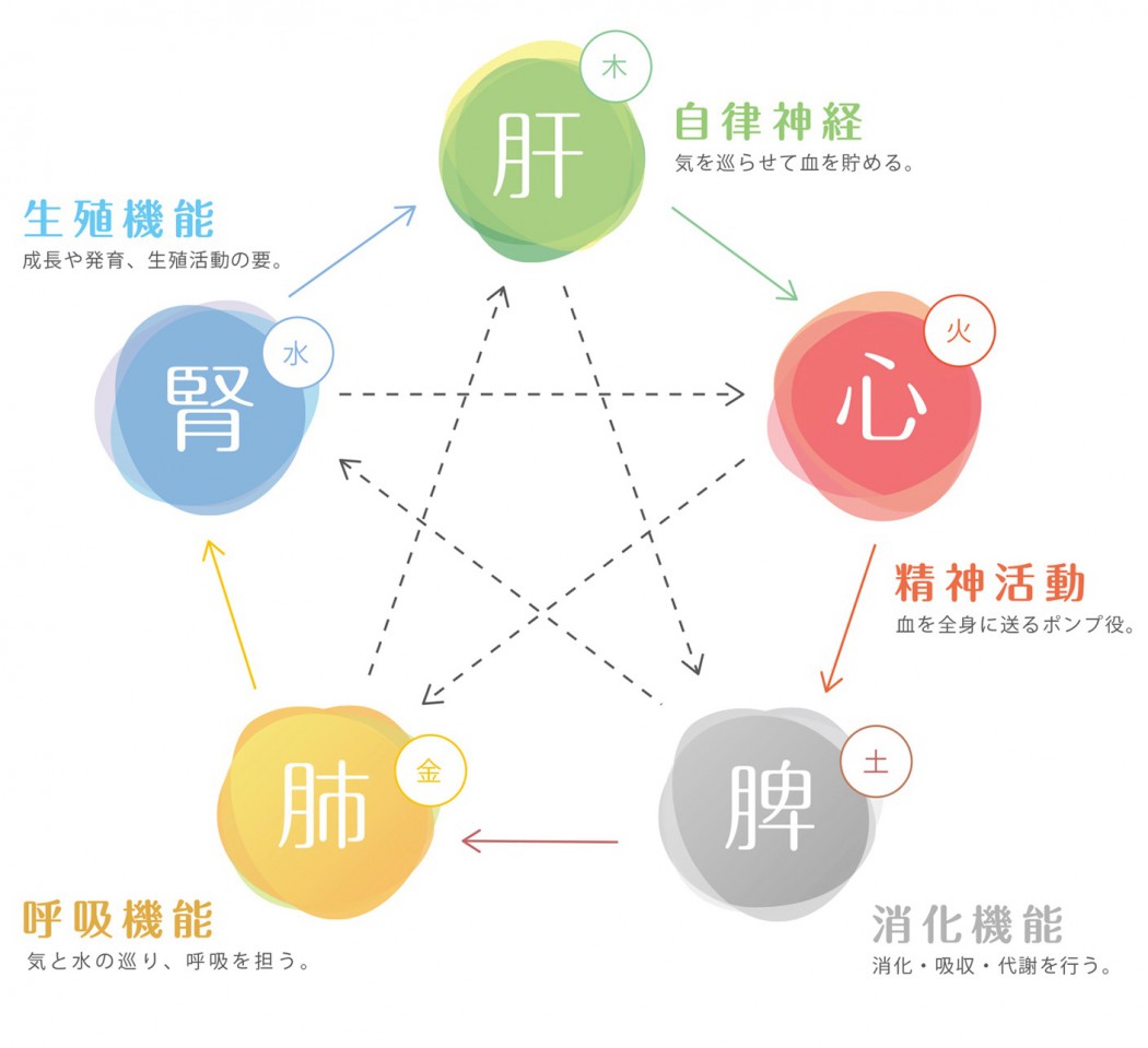 薬膳うちごはんの“薬膳”の基本 陰陽五行説薬膳うちごはん