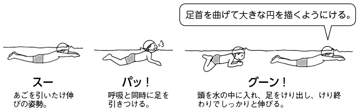 平泳ぎの泳ぎ方 初心者・初級者向け- Swimming.jpSwimming.jp