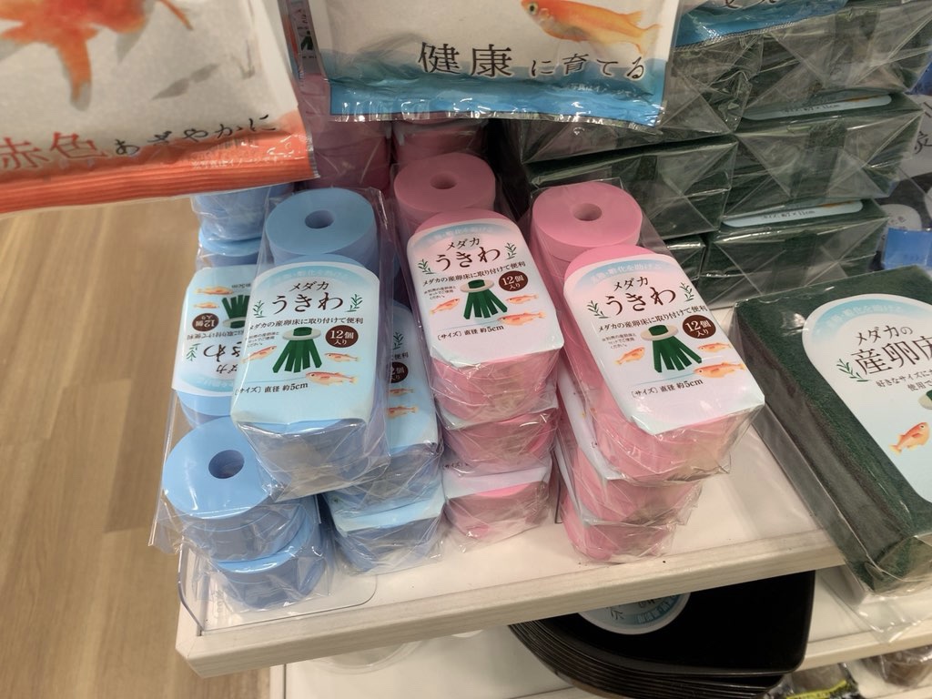 百均 セリアおすすめアクアリウム用品