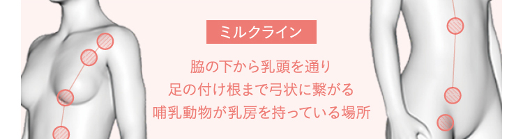 頚部リンパ節腫大写真で見る「子どもの病気」 - みやけ内科・循環器科 総合内科のアプローチ