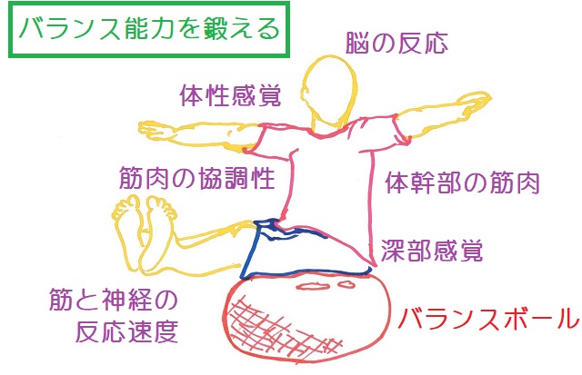 骨と比率を意識しよう！ 人体を描くために役立つポイントいちあっぷ