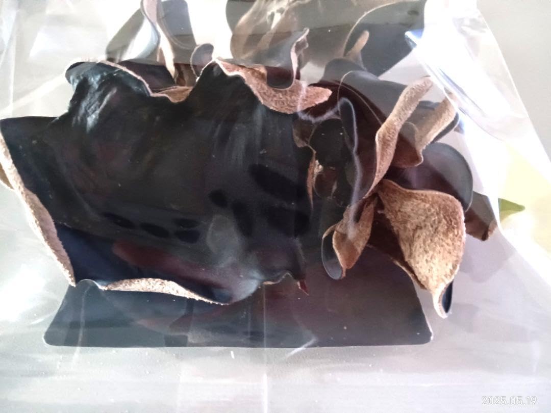 熊本県人吉産 せんい生活の乾燥きくらげ 肉厚厳選 40g×4袋熊本県人吉市ふるさと納税サイト「ふるなび」