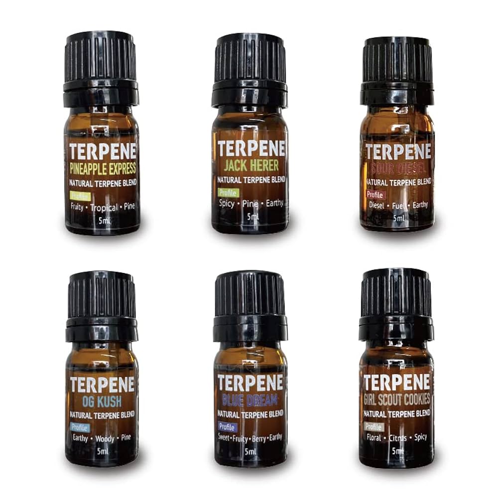 春に出てくる定番 ガールスカウト・クッキー - 腹ぺこキクの食べログ＋α