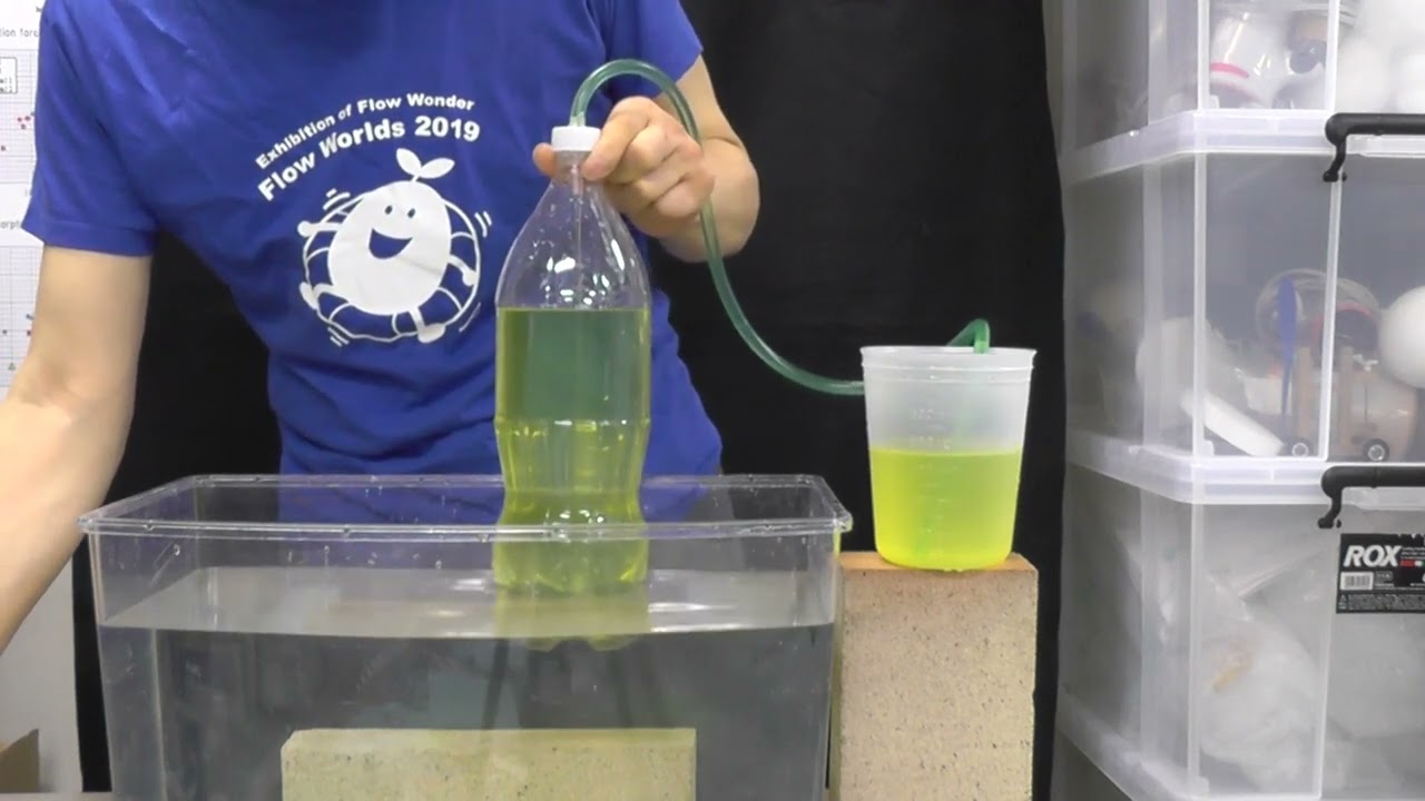 木の水を吸い上げる力設計部ログスタッフブログ佐藤工務店美唄・岩見沢・滝川・砂川の新築・注文住宅、ハグハウス