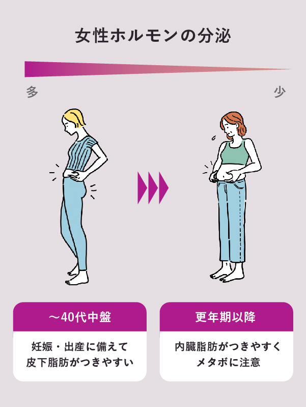 写真で比較 体脂肪率と女性の見た目の関係とは？理想の体型を目指す方法を医療ダイエット専門医が解説！ -URARAクリニック医療美痩身・医療ダイエット専門クリニック