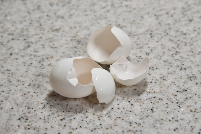 生ごみに発生する虫ってどこから来るの？HUB times ハブタイムズ