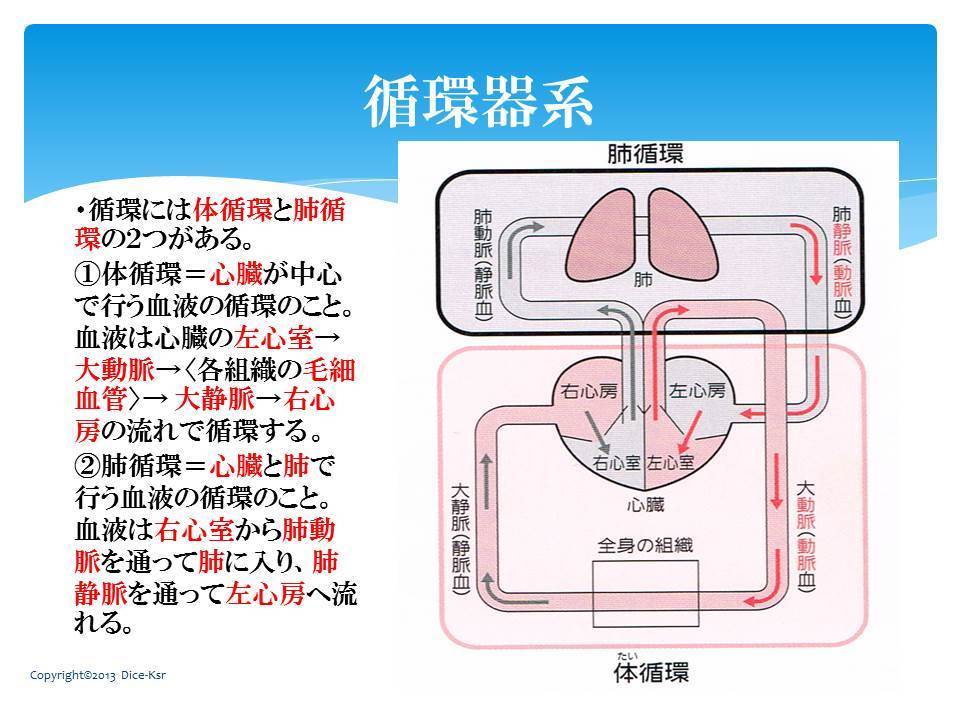 ワーママが第一種衛生管理者に2週間で一発合格した勉強時間と勉強方法。おすすめテキスト問題集についてゆとり世代ワーママのブログ