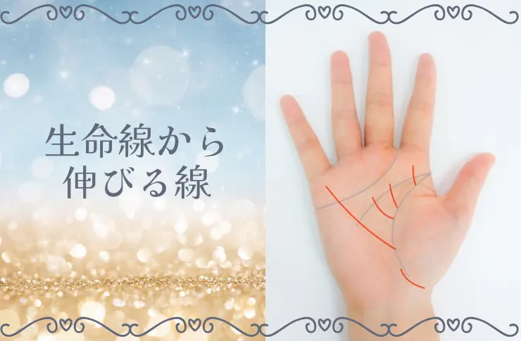 手相の生命線から伸びる線はどんな意味？ひつじの手相占い