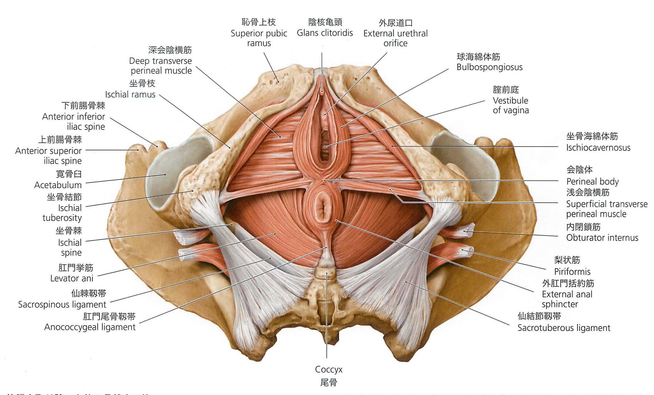 妊婦さんに起こりがちな「むくみ」についていろどり整骨院