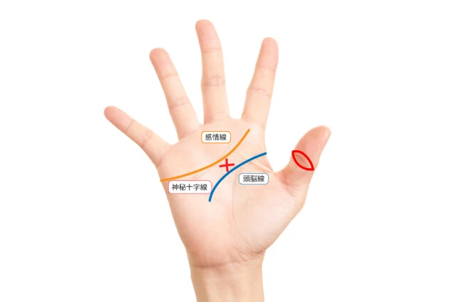 雑誌 定期購読の予約はFujisan 雑誌内検索： 人差し指がツキを呼ぶ手相占いの2019年11月27日発売号で見つかりました