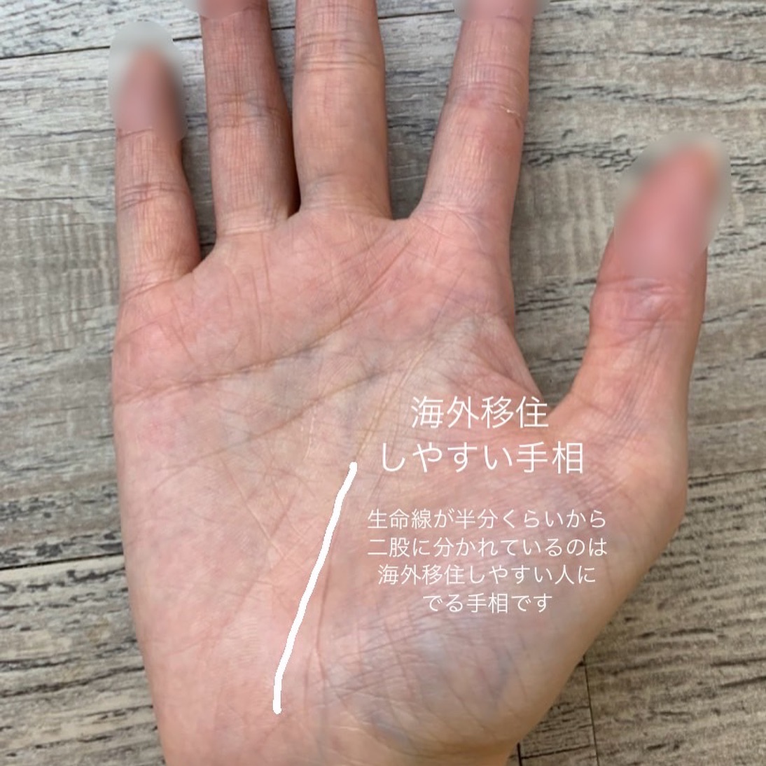 クラウドファンディング特別企画～手相で元気に！～ ９月１６日 2017 09 16占いの正しい知識を伝えるチャリティ手相占いで世の中を元気に！ 認定NPO法人神戸国際占術協会 - クラウドファンディング READYFOR