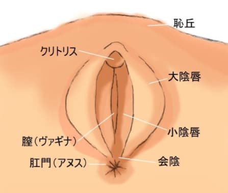 隣人がヤリチンで困ってます！【電子限定かきおろし付】 |meco |