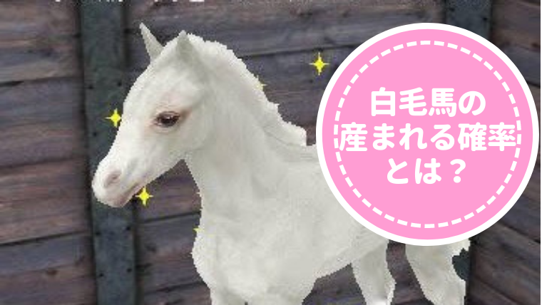 競走馬の毛色について毛色と強さは関係するのかほどよい競馬