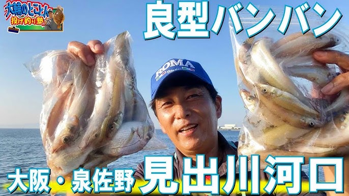 大阪湾で釣れたキスの釣り・釣果情報 - アングラーズ | 釣果600万件の魚釣り情報サイト