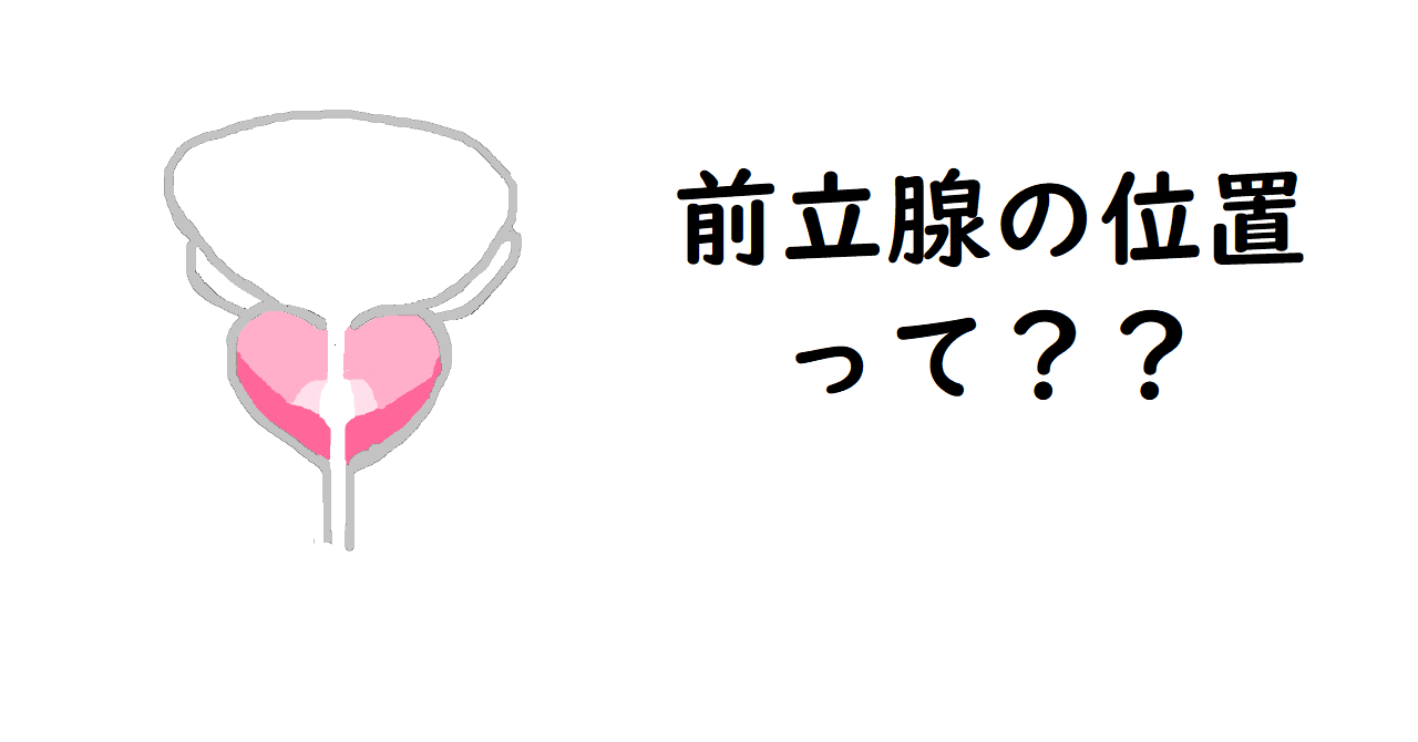 アナニー】全力解説！アナニーのやり方からドライオーガズムができるところまで【5000文字over】 - DLチャンネル みんなで作る二次元情報サイト！