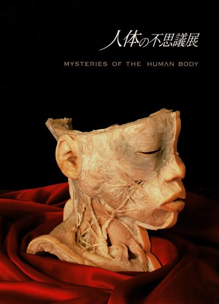 未使用美品人体の不思議展 全176頁 チラシ 割引券つき標本 図録集 - メルカリ