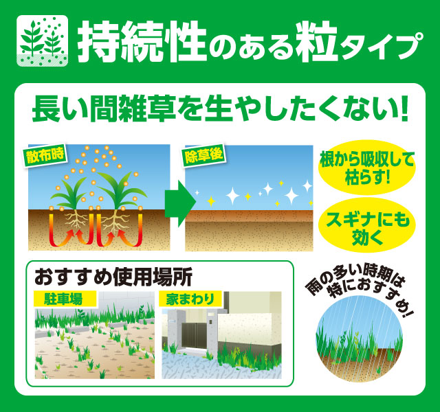 雑草対策「もう二度と草取りしなくてよい方法」枯らして取り除く防草対策と根本的に生やさない庭草対策