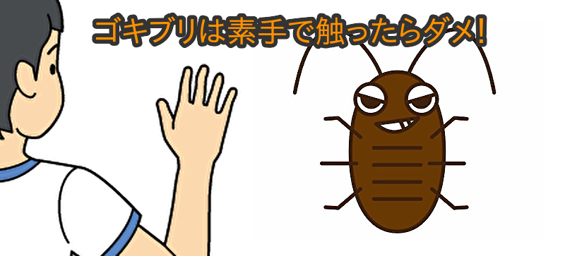 蜘蛛の糞掃除瑞雲寺だより