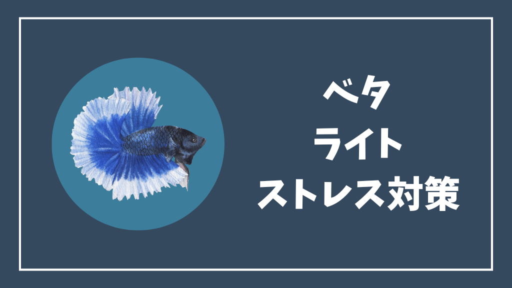 セザンヌ 色付きUVカット下地 下地ながら美肌見え効果が高すぎる！ 美容ライターベタ惚れの名品大人がうっとり♡ 優秀プチプラコスメ
