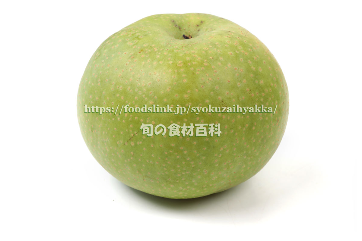 菊水 菊水酒造 の日本酒の通販－やまさ