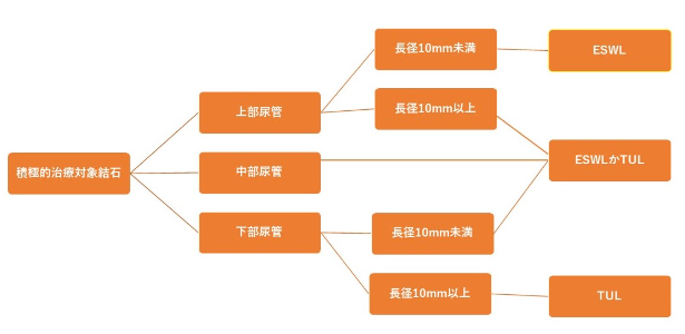 尿管結石について池袋消化器内科・泌尿器科クリニック