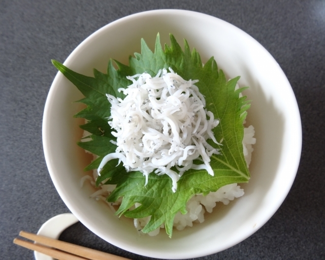 離乳食後期＊しらすとあおのりの混ぜご飯